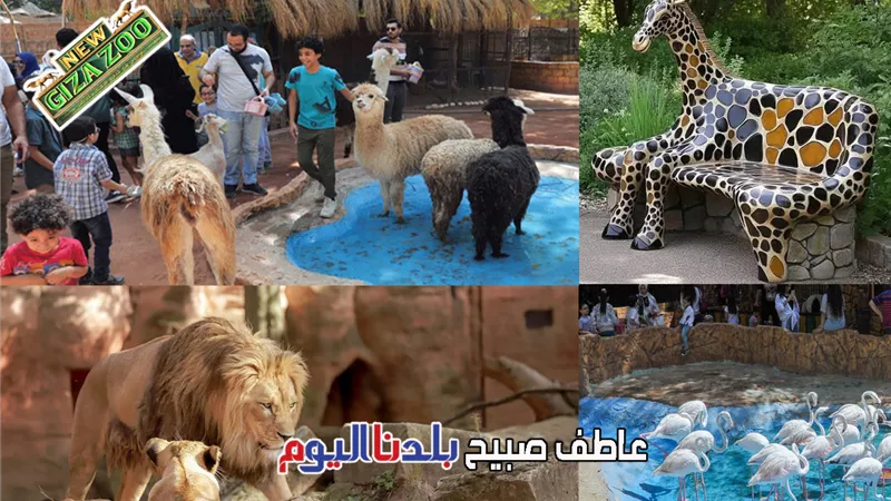 افتتاح حديقة الحيوان بعد التطوير يتزامن مع حدث تاريخي.. ما التفاصيل؟