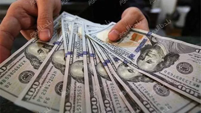 تعرف على سعر صرف الدولار اليوم الخميس 4 يونيو 2026 