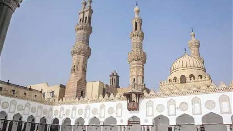 عضو لجنة الفتوى بالأزهر: الشريعة الإسلامية نظمت زواج الرجل بأكثر من زوجة