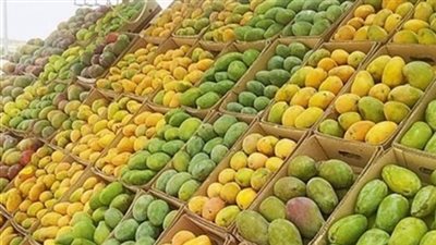 المانجو تبدأ من 40 جنيها .. اعرف أسعار الخضار والفاكهة اليوم 20/8/2025