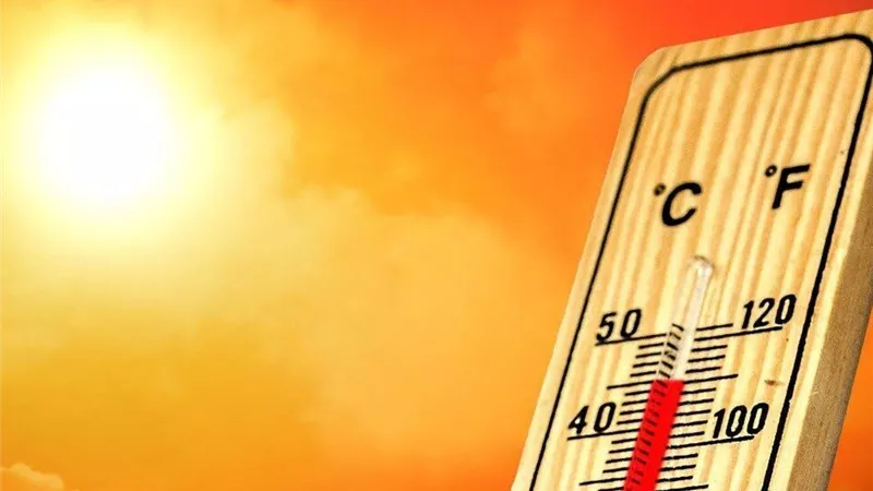 الطقس ودرجة الحرارة اليوم الاثنين  18-8-2025 في جميع المحافظات