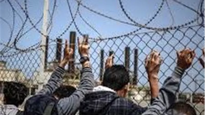 خاص| غزة في كارثة إنسانية غير مسبوقة: دمار ومجاعة وأمراض بانتظار إعادة الإعمار 
