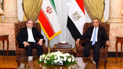 وزيرا خارجية مصر وإيران يبحثان وقف العدوان الإسرائيلي.. وتعزيز التعاون في جدة