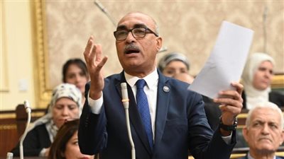 المصري الديمقراطي: المجلس القادم مثقل بالأعباء والقوانين الهامة (خاص)