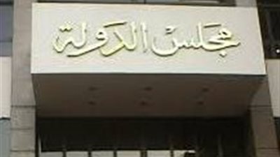 ننشر حيثيات حكم إلغاء الانتخابات في الدائرة الثالثة بمغاغة بالمنيا 