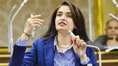 النائبة إيرين سعيد: حزينة لإجبار أولياء الأمر على التقديم في نظام البكالوريا (فيديو)