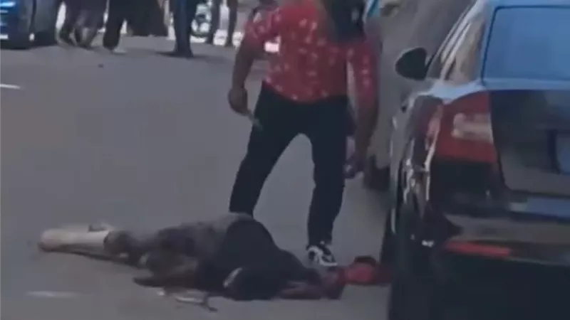 مقتل عامل على يد صديقه بأحد شوارع كفرالشيخ