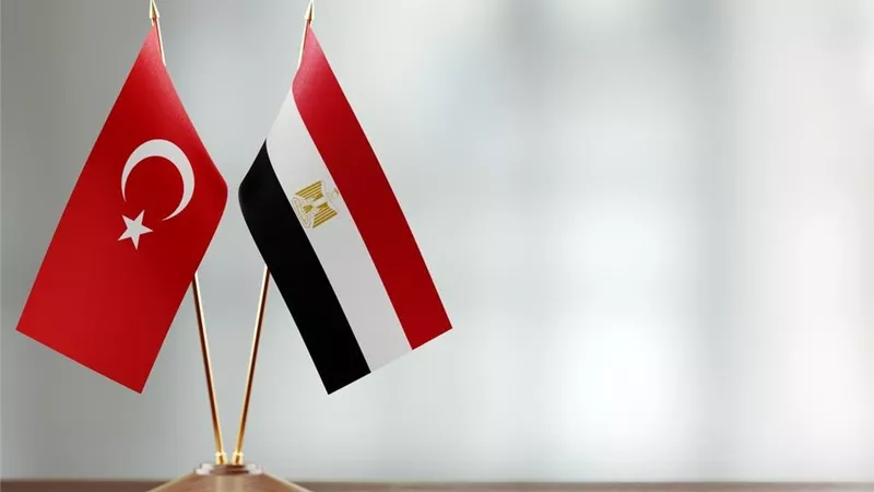 مصر وتركيا يهاجمان إسرائيل ويطالبان بتدخل دولي عاجل لإنقاذ غزة