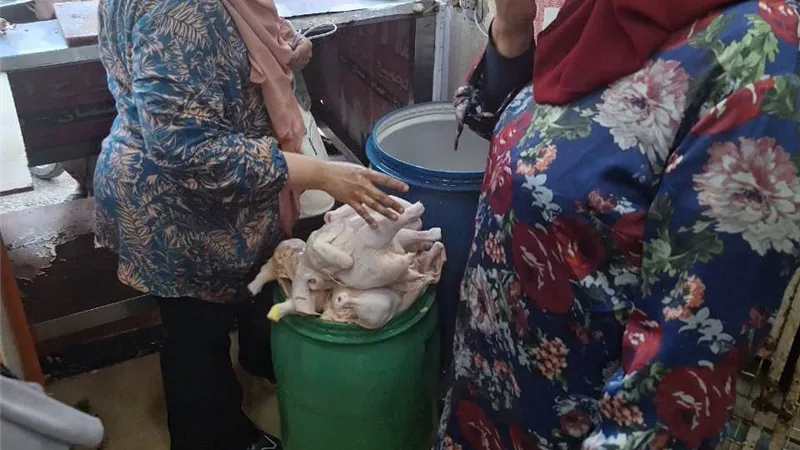 تحرير 44 محضر مخالفات.. وضبط وإعدام مواد غذائية مجهولة المصدر بالمنوفية 