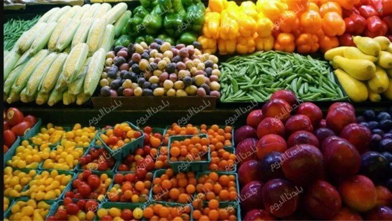 أسعار الخضراوات والفاكهة اليوم الأربعاء 6 مايو  2026
