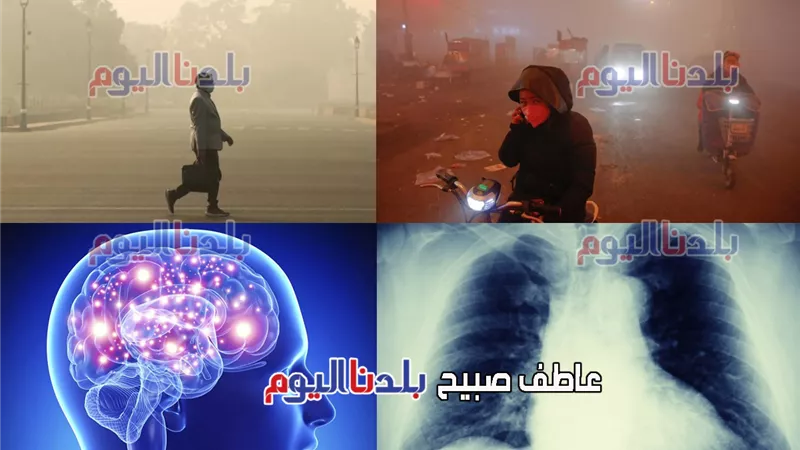 دراسة حديثة: البشر يستنشقون ما يصل إلى 68,000 جزيء من الجسيمات البلاستيكية الدقيقة يوميًا