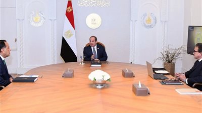 الرئيس السيسي يوجّه بدراسة إنشاء 