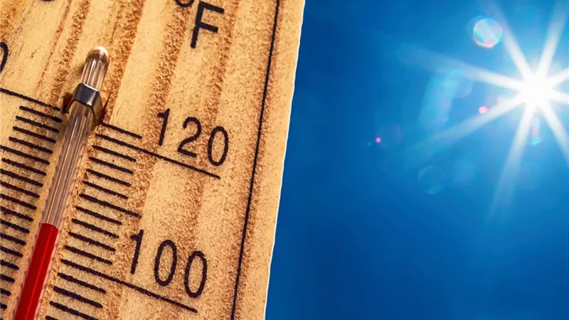 أسوان وسوهاج واسكندرية.. اعرف الطقس ودرجة الحرارة غدًا الأربعاء 3-9-2025