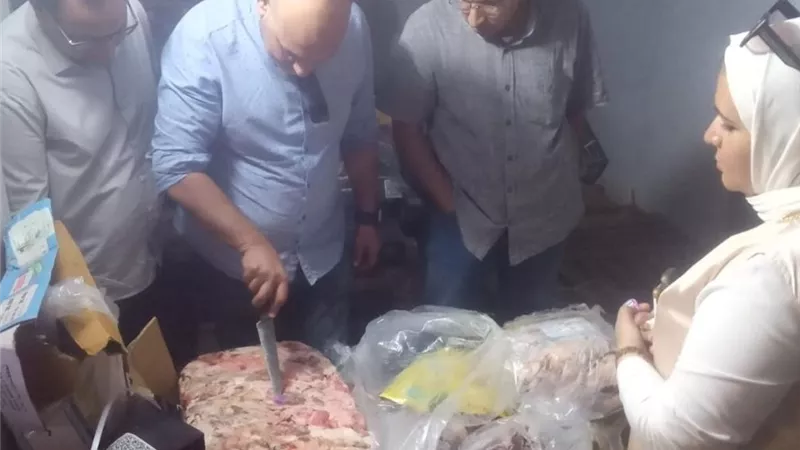 ضبط 8 أطنان لحوم وأسماك غير صالحة للاستهلاك بمحافظة المنوفية