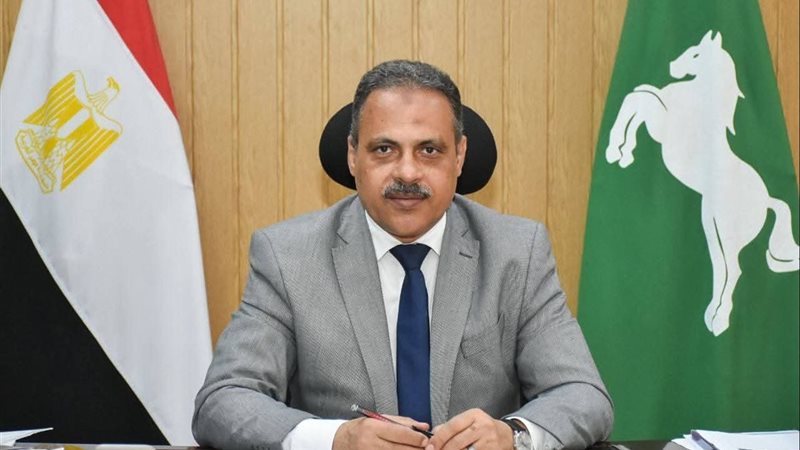 محافظ الشرقية 