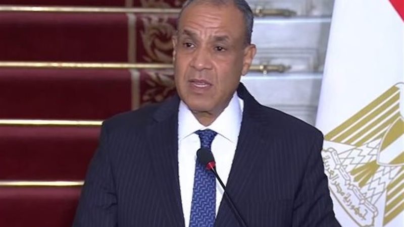 بدر عبد العاطي
