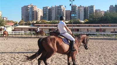بطولة الجمهورية للفروسية تنطلق من نادي سموحة بالإسكندرية وسط أجواء احتفالية