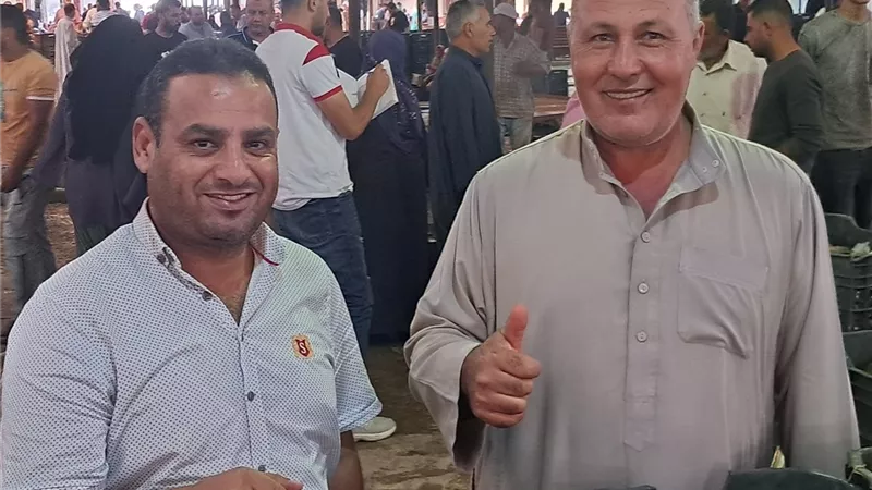 جولة خاصة لبلدنا اليوم داخل بورصة أسماك كفر الشيخ (خاص)