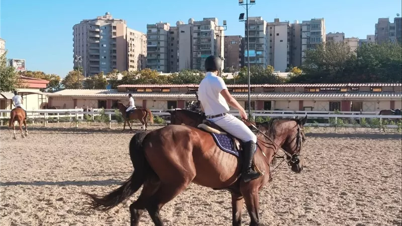 بطولة الجمهورية للفروسية تنطلق من نادي سموحة بالإسكندرية وسط أجواء احتفالية