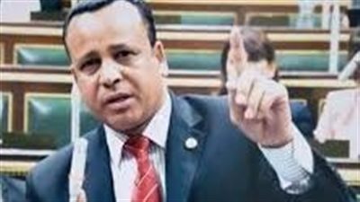 برلماني: الشعوب العربية تنتظر قرارات حاسمة من القمة ضد إسرائيل (خاص)