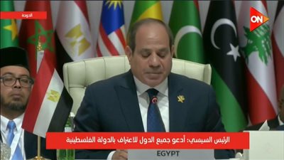 الرئيس السيسى يدعو للاعتراف الفوري بدولة فلسطين 
