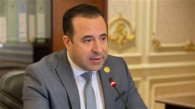 نائب: الرئيس السيسي أعاد لمصر دورها الخارجي.. ومكانتها الطبيعية (خاص)