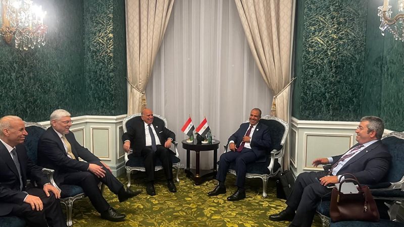 وزير الخارجية يلتقي