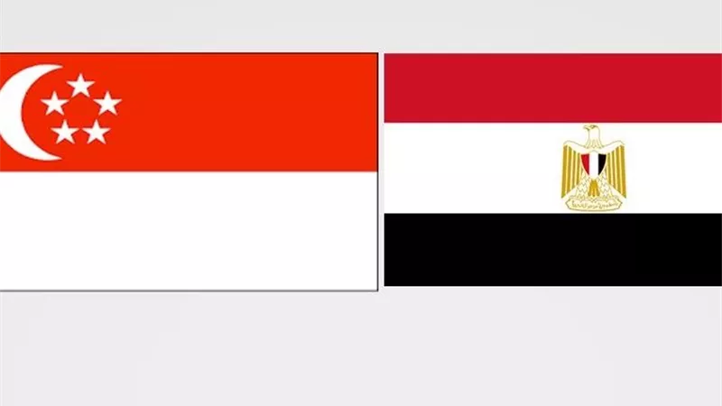 السيسي يستقبل رئيس سنغافورة لبحث تعزيز العلاقات بين البلدين