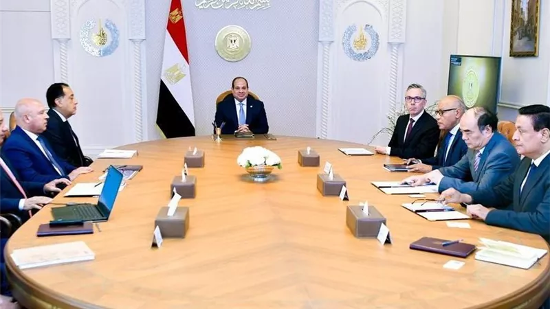 الرئيس السيسي يبحث بحث فرص التعاون مع شركتي سكاتك النرويجية وصنجرو الصينية