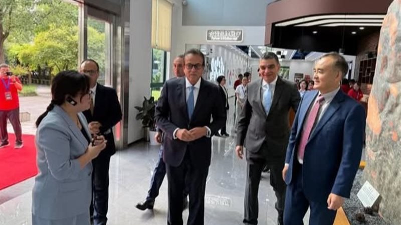 نائب رئيس مجلس الوزراء