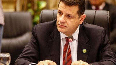 النائب طارق رضوان: الاعتراف بفلسطين خطوة استراتيجية لإحياء عملية السلام العادلة