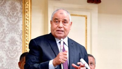 عضو بالبرلمان: اعتراف الغرب بالدولة الفلسطينية انتصار للقضية العربية والإقليمية (خاص)
