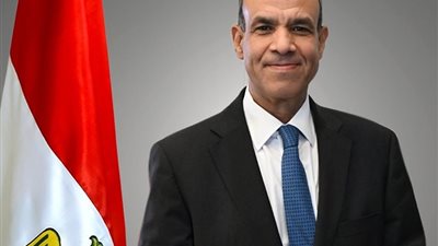وزير الخارجية المصري بالبريكس: مصر ترفض كل محاولات التهجيير في غزة
