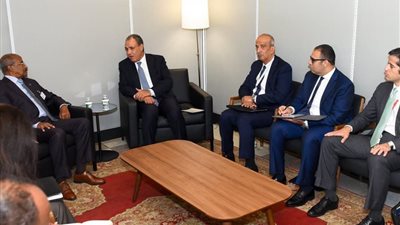 وزيرا خارجية مصر وإريتريا يؤكدان تعزيز الشراكة الإستراتيجية والتنسيق حول قضايا القرن الأفريقي والأمن المائي