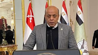 برلماني: مصر دولة قوية بمؤسساتها.. ولن تغير مواقفها تجاه القضية الفلسطينية (خاص)