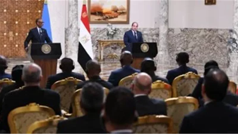 الرئيس السيسي 