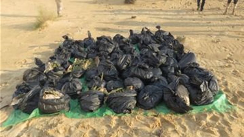 المضبوطات 