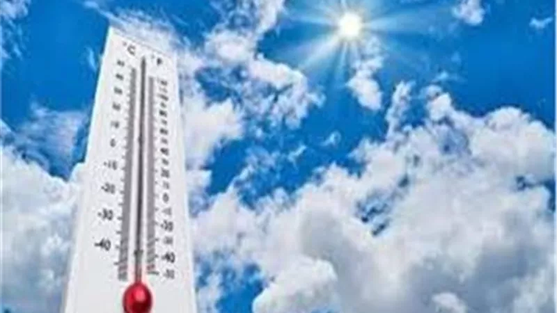 شبورة صباحية على الطرق.. الأرصاد تحذر من طقس الخميس 25/9/2025