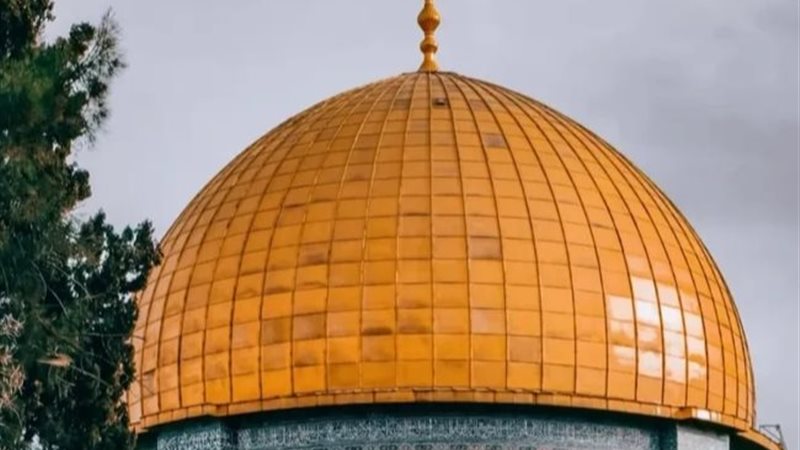 فلسطين 
