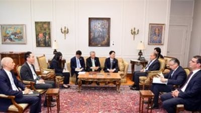   فرص استثمارية ضخمة.. مصر وكوريا الجنوبية نحو شراكة اقتصادية أوسع