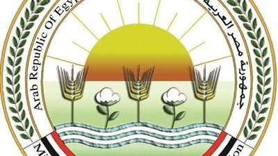 الزراعة تحذر من تجويع الكلاب الضالة: سلوك غير إنساني ومخالف للشرع والقانون