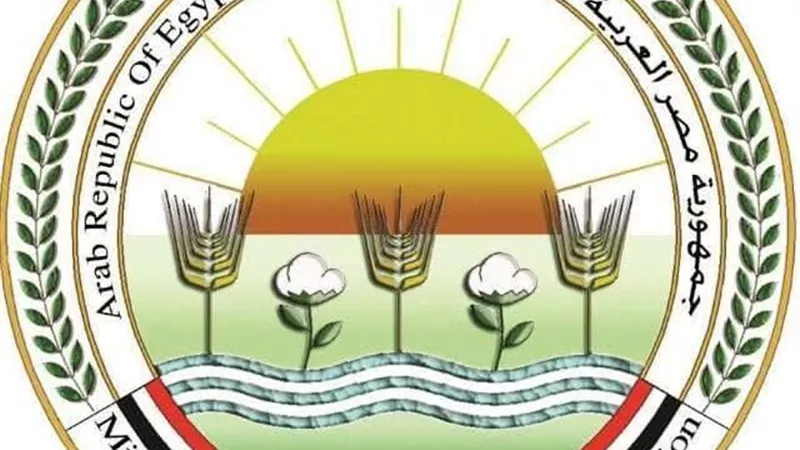الزراعة تحذر من تجويع الكلاب الضالة: سلوك غير إنساني ومخالف للشرع والقانون