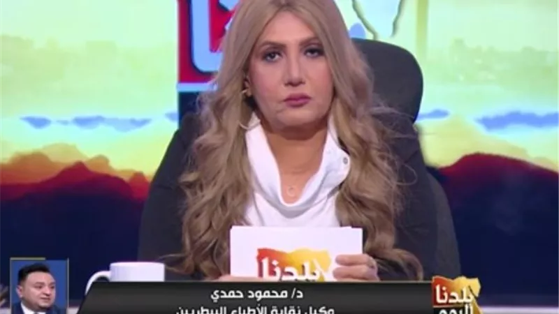 هل تقديم الأكل للكلاب بالشارع يتسبب في شراستهم؟ «البيطريين» توضح