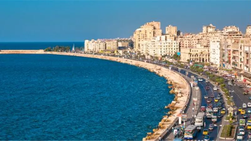 إنشاء جامعة البحر المتوسط بالإسكندرية والعاصمة الإدارية لتعزيز التعليم العالي 