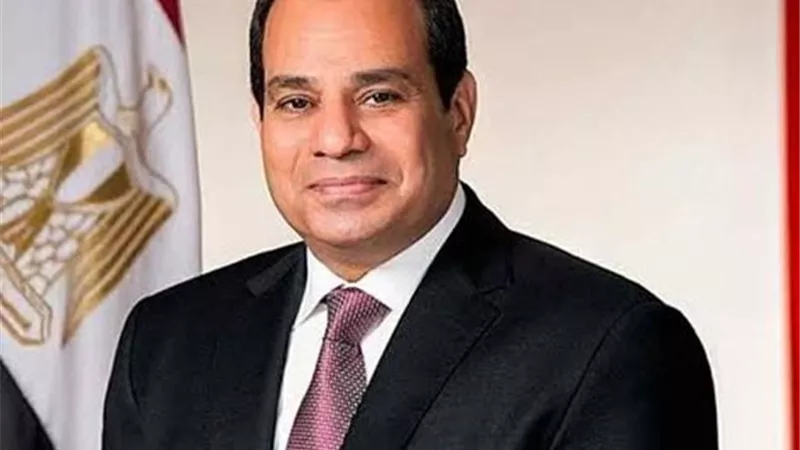 السيسي: نتطلع لزيادة حجم استثمارات ميرسك.. وتعزيز حضورها في السوق
