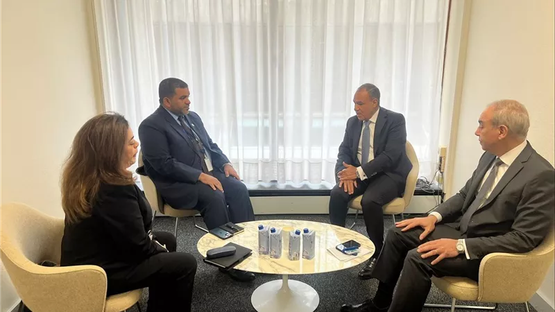 وزير الخارجية يشيد بالدعم الإماراتي والعربي لترشح خالد العناني لمنصب مدير عام اليونسكو