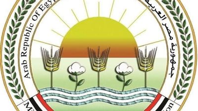 أسبوع من العمل الميداني.. الزراعة تكثف جهودها لدعم الإنتاج الزراعي وتعزيز الأمن الغذائي