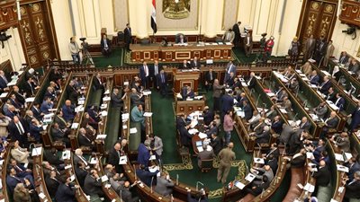 عضو بالنواب: دفعة كبرى للحرف التراثية.. وتعزيز الشراكة مع الأشقاء