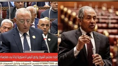 عاجل.. أحمد العوضي وفارس سعد فام وكيلا مجلس الشيوخ لبرلمان 2025-2030