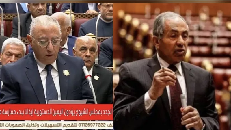 العوضي وفارس عقب فوزهما بوكالة مجلس الشيوخ: سنكونا داعمين للدولة ومحققين طموحات الشعب المصري
